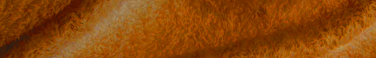 Ткань Плюш оранжевый